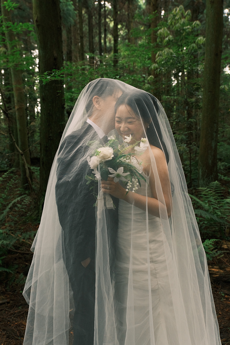 forest-3