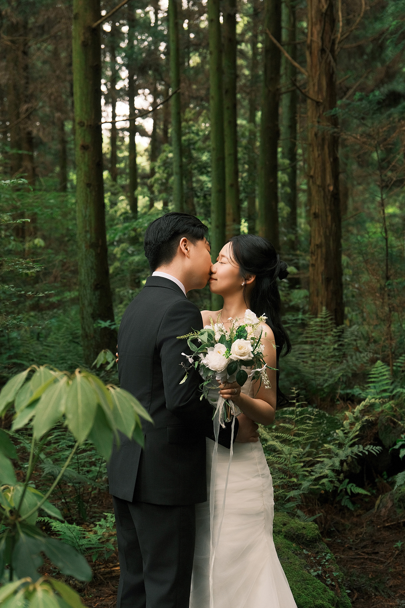 forest-4